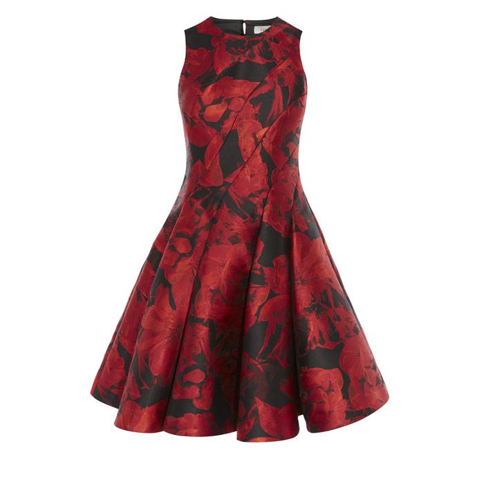 coast martha jacquard dress