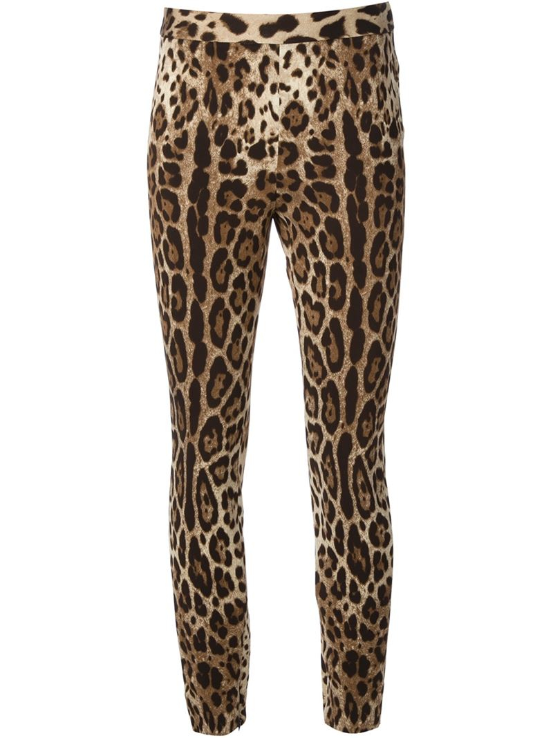 Dolce & Gabbana Leopard Print Leggings in Brown - Lyst