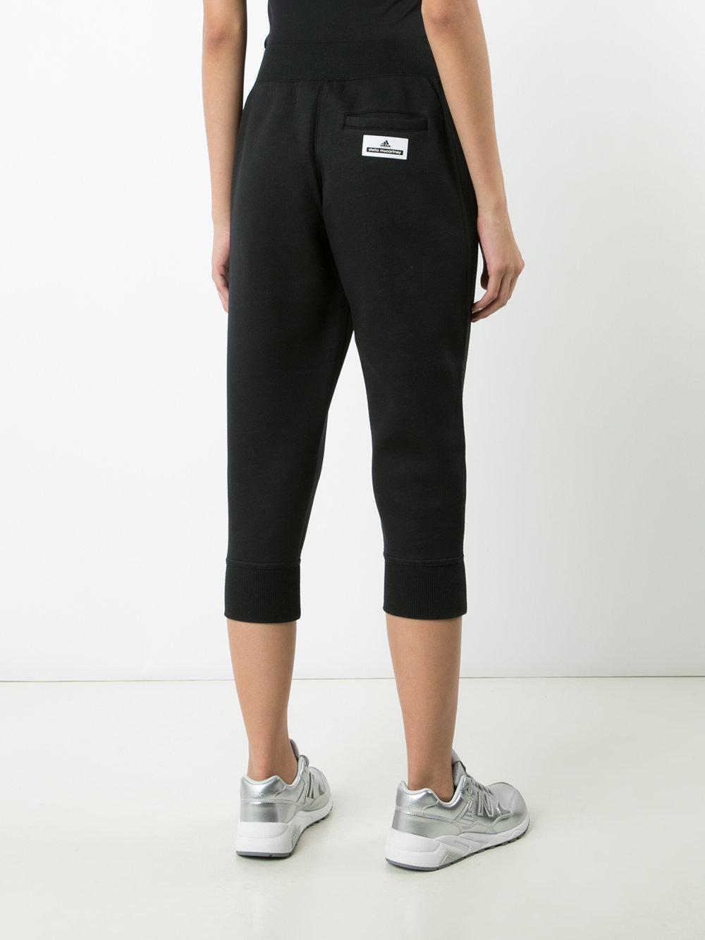 modal sweatpants