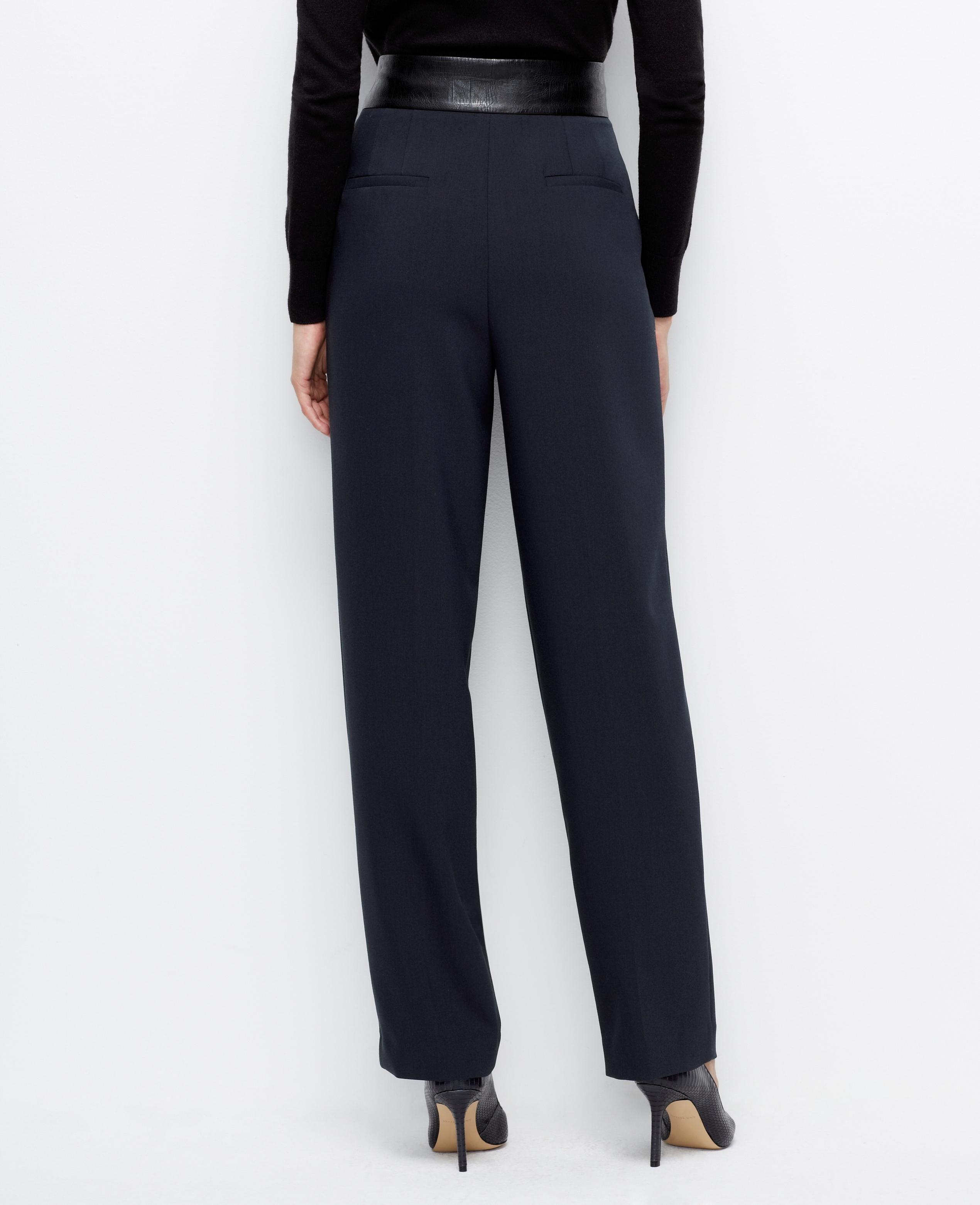 ann taylor pants