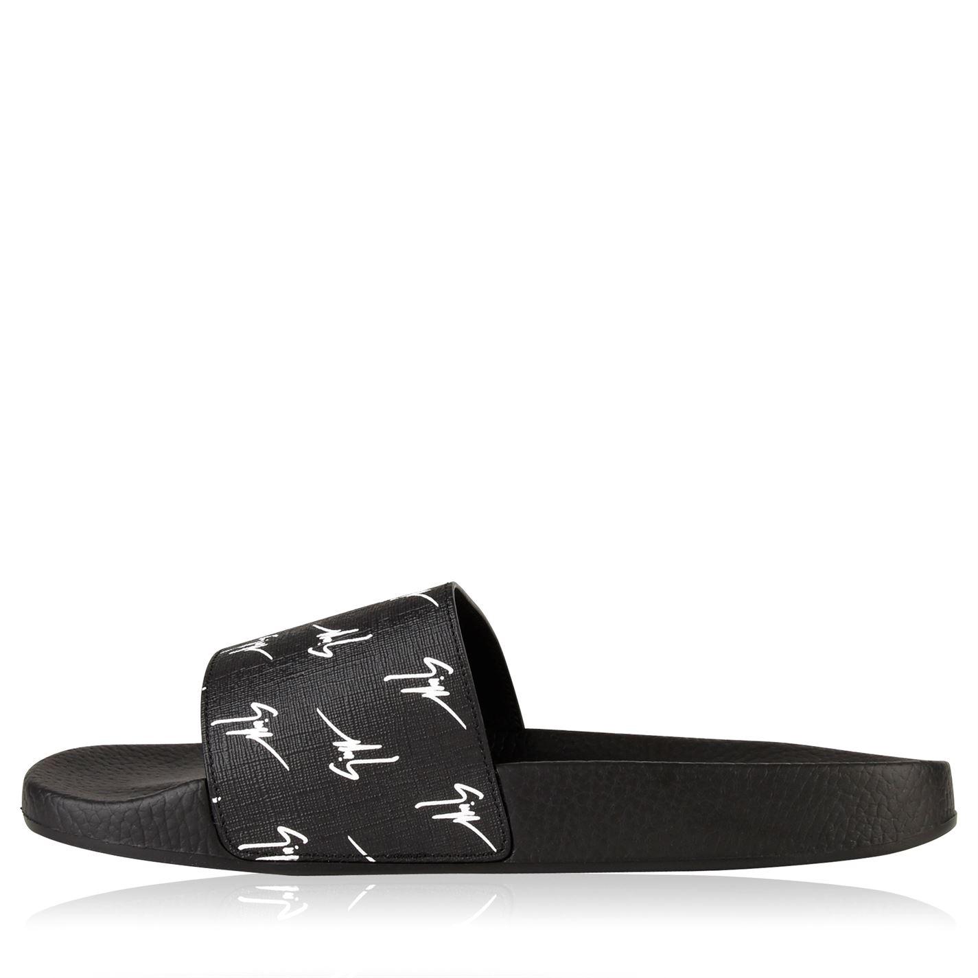 zanotti slides