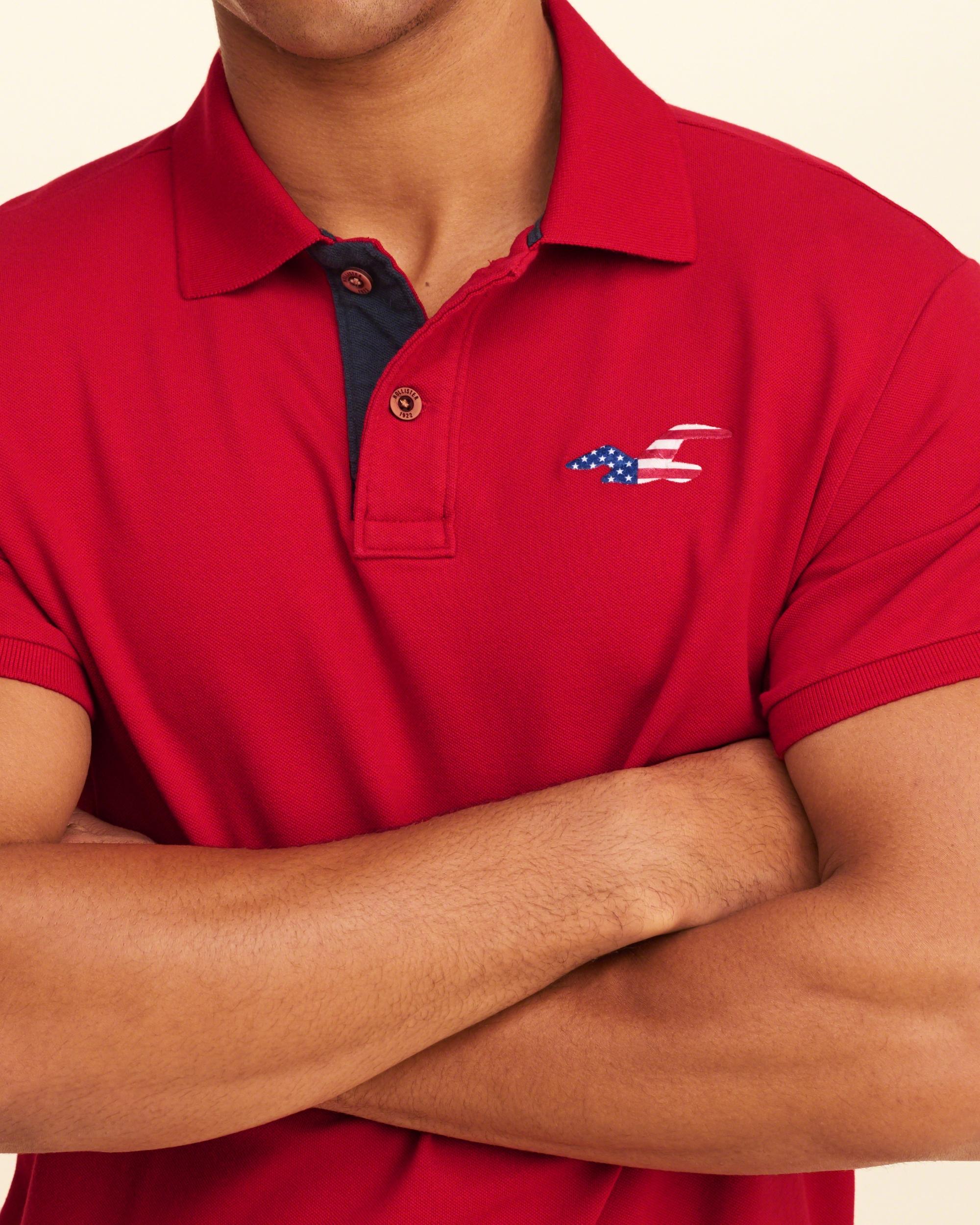 hollister mens polo clearance