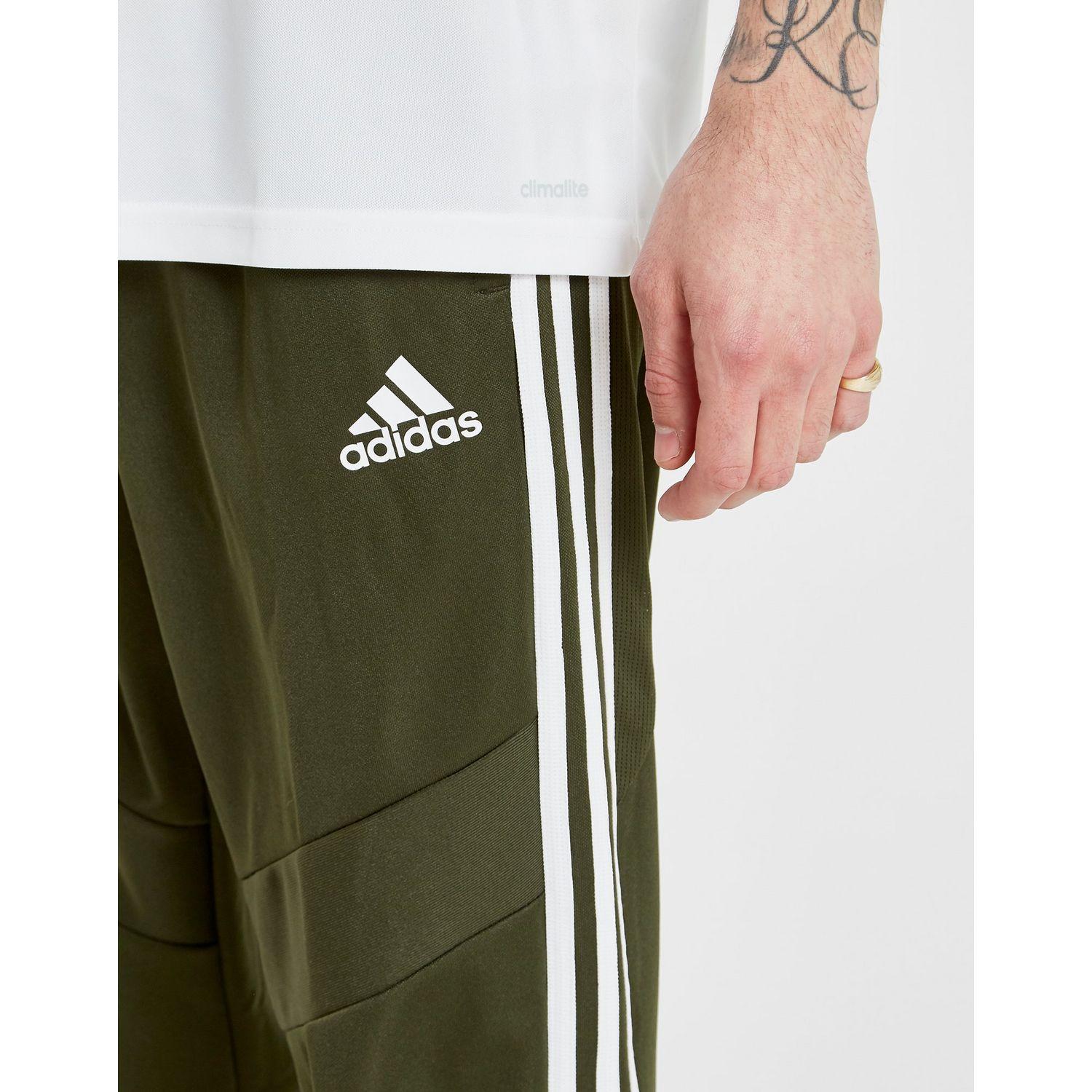 tiro track pants