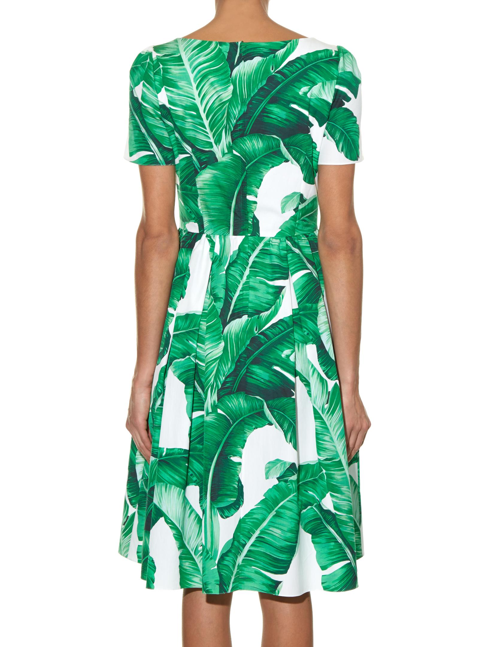Dolce & Gabbana Banana Leaf-print Dress in Green - Lyst