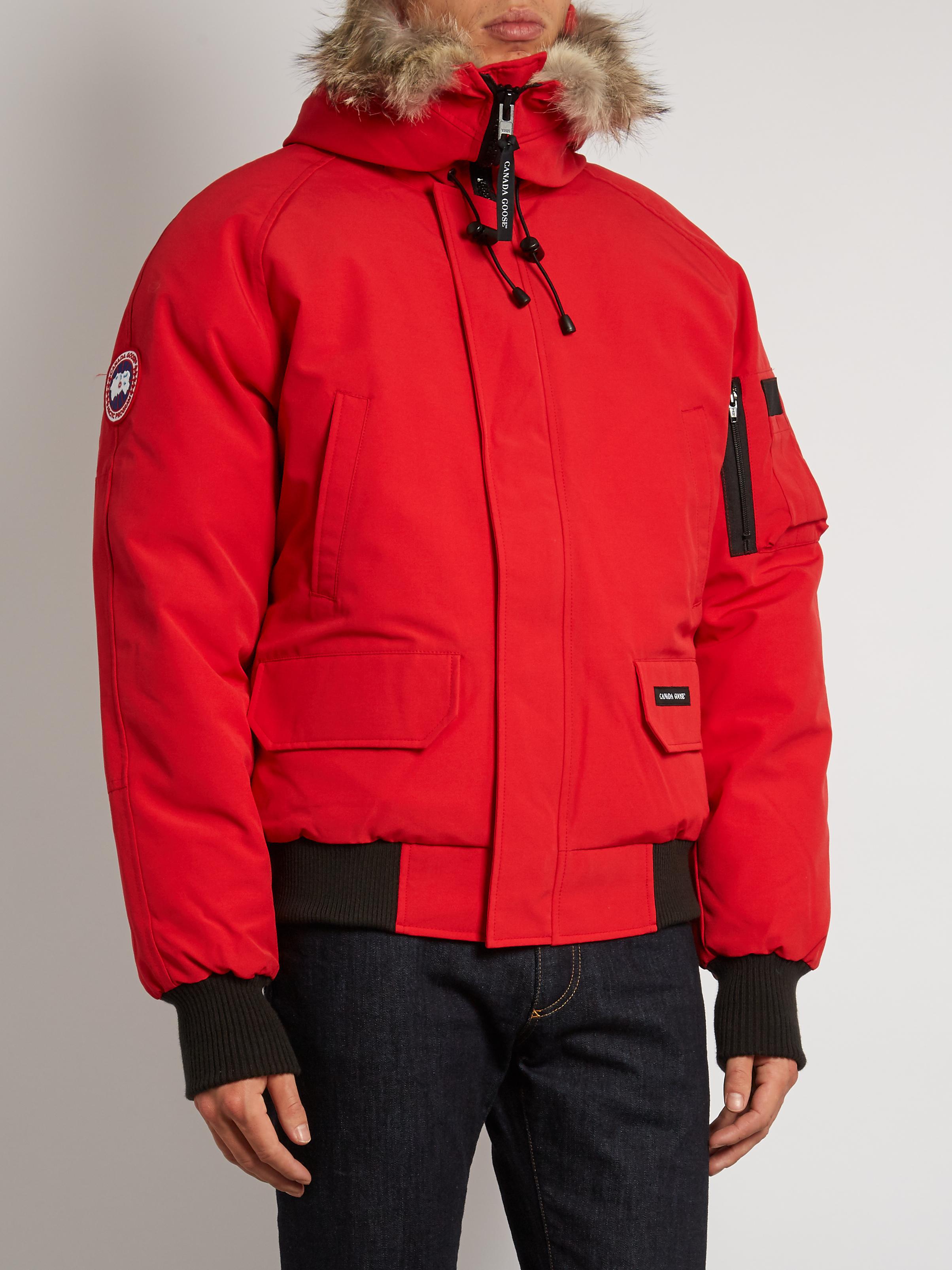 Lyst - Canada Goose Chilliwack Fur-trimmed Down Bomber Jacket in Red