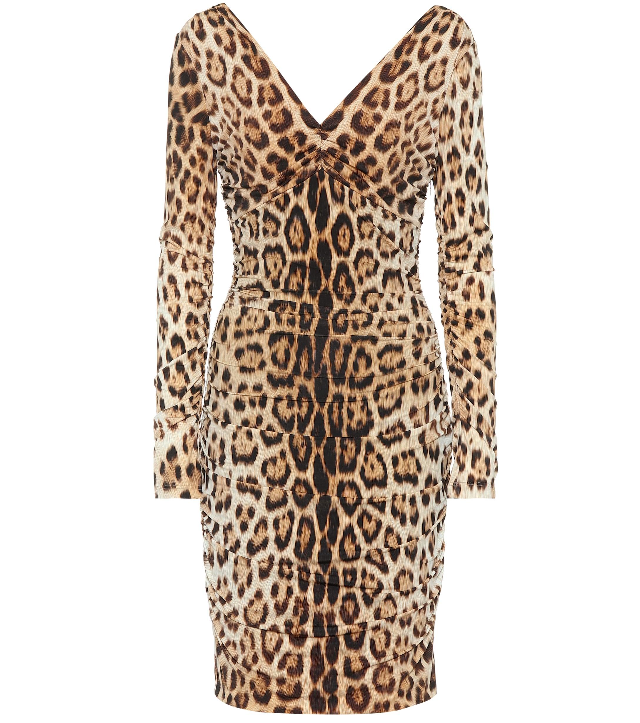 Roberto Cavalli Leopard-print Dress in Brown - Lyst