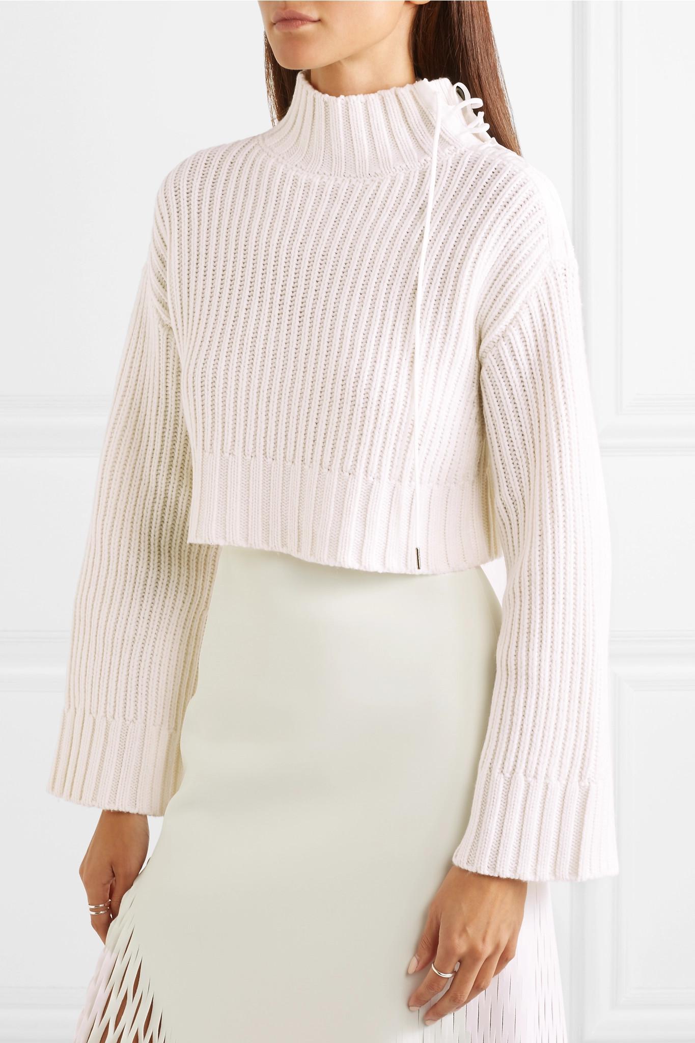Dion Lee Aviation Cropped Ribbed Wool-blend Turtleneck Sweater in White ...