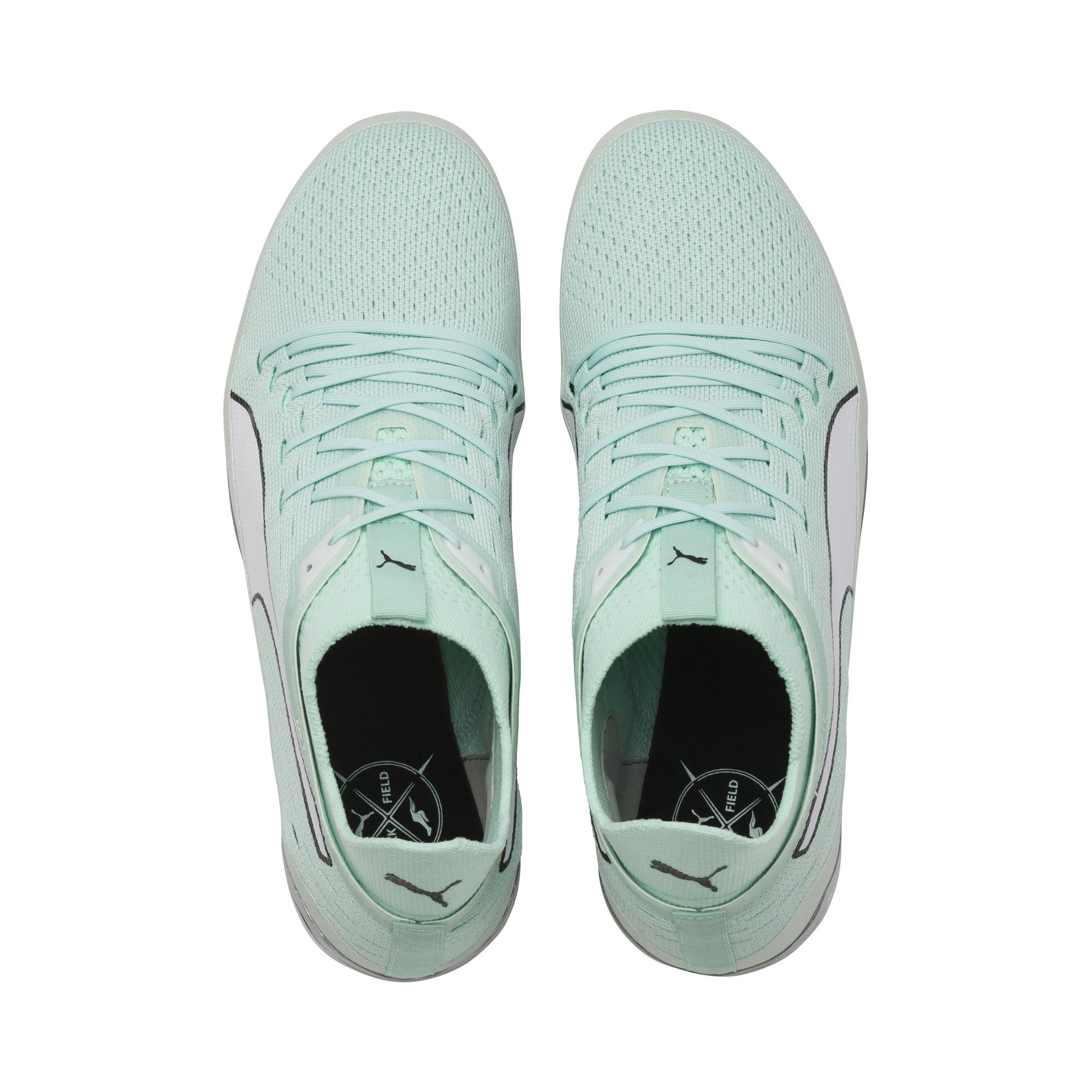 puma evospeed netfit spikes