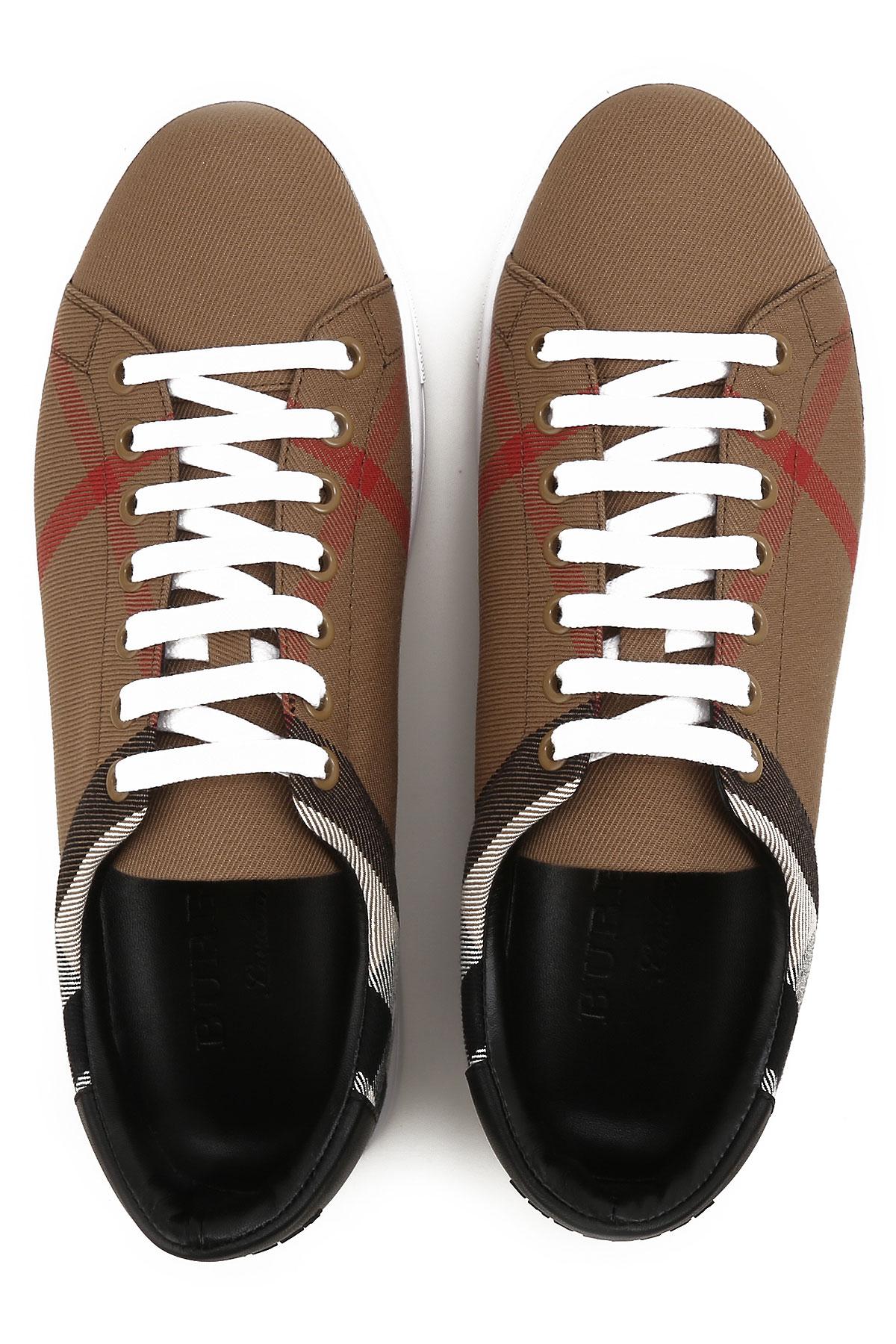 burberry sneaker men