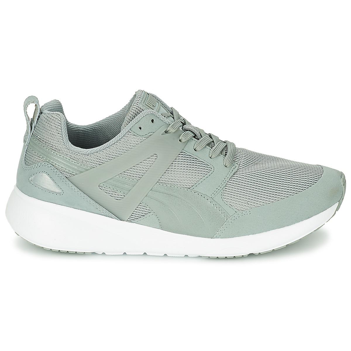 puma arial evolution