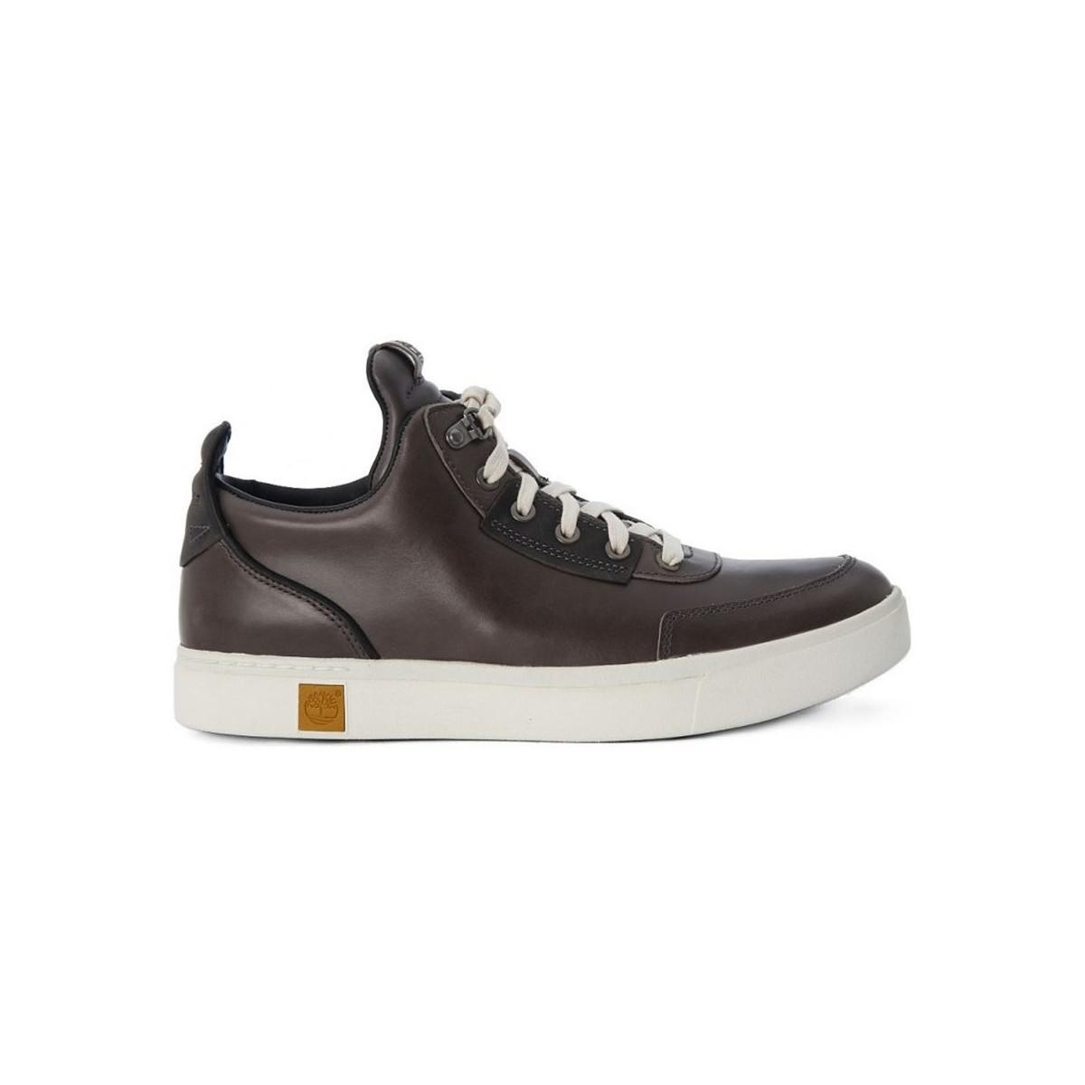 timberland amherst hightopcanvaschkdark timberland amherst hightopcanvaschkdark