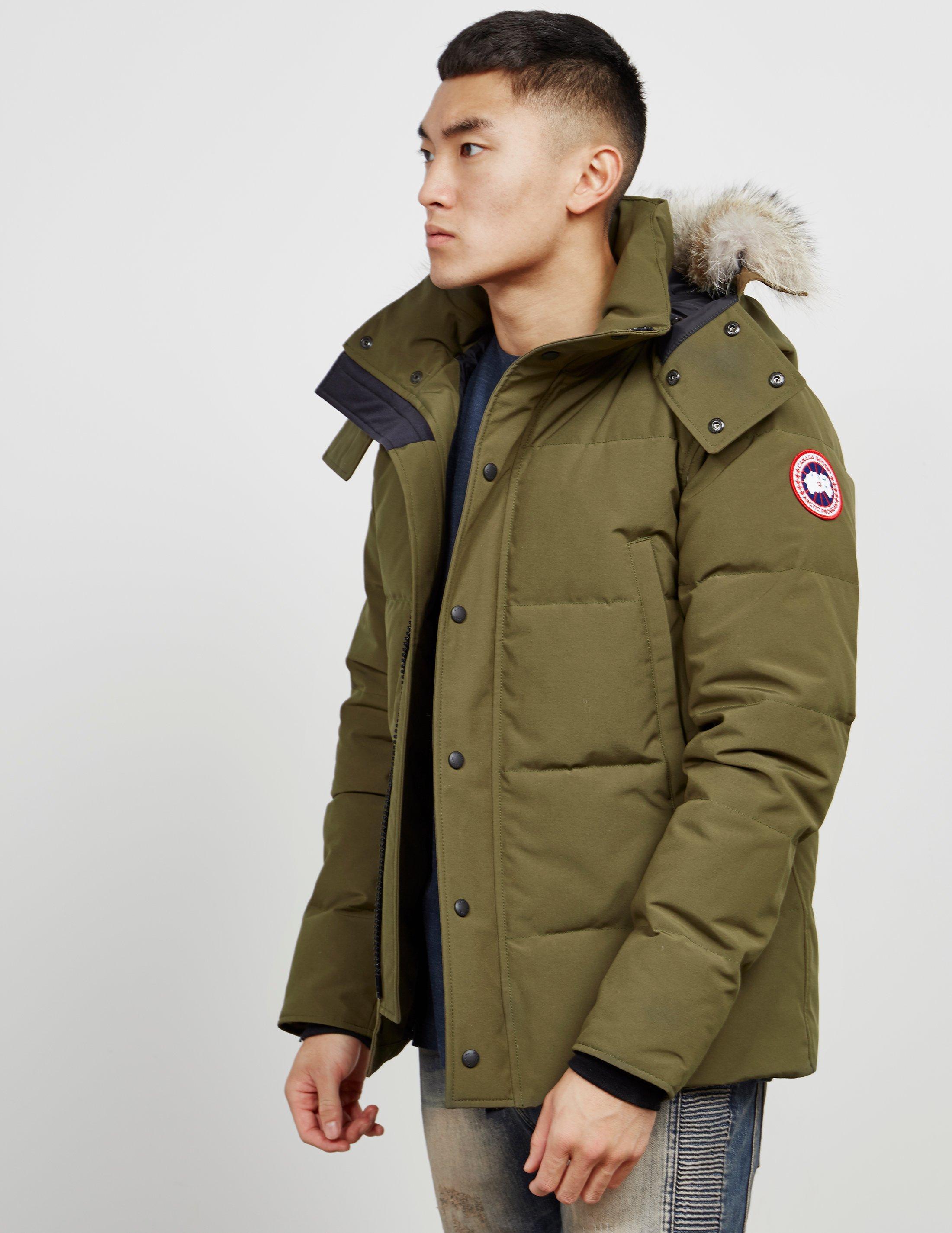 canada goose gilt canada goose gilt