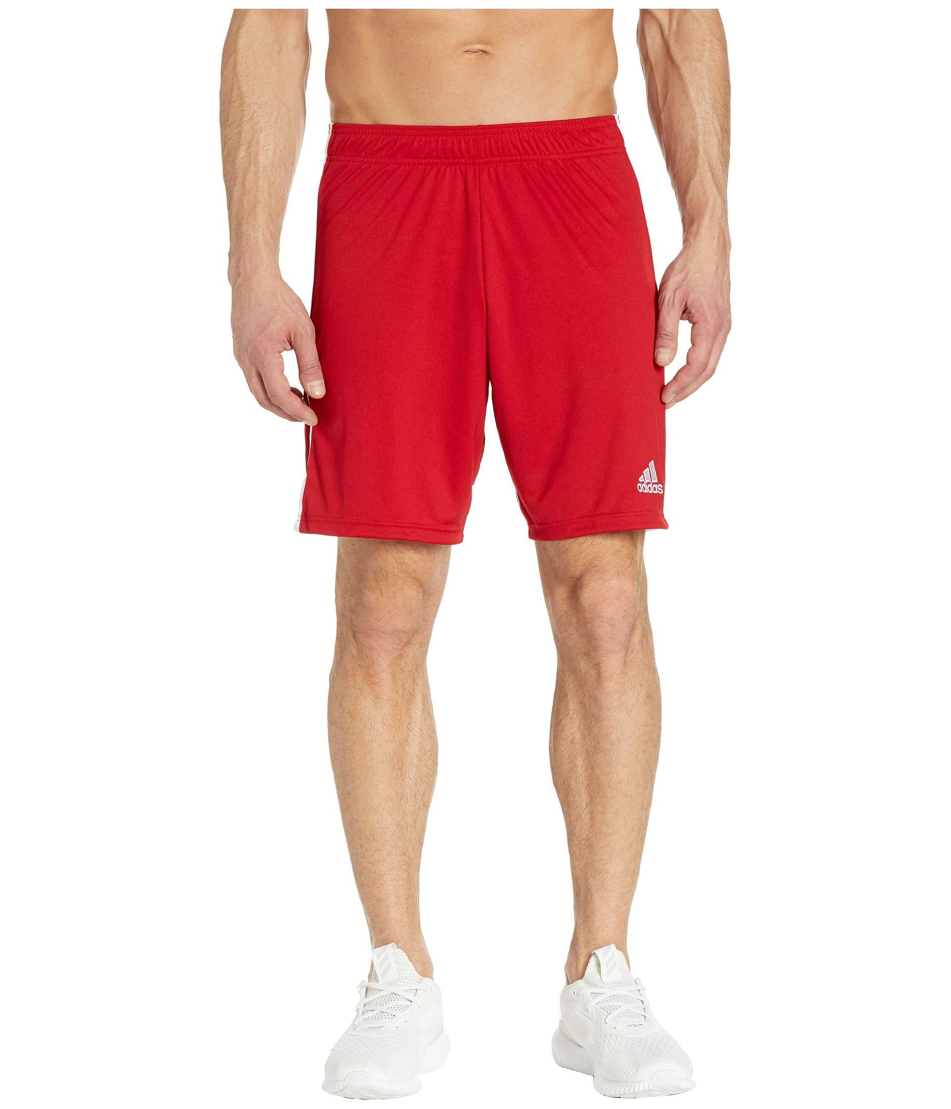 adidas Synthetic Tastigo Climalite® Soccer Shorts in Red for Men - Save ...